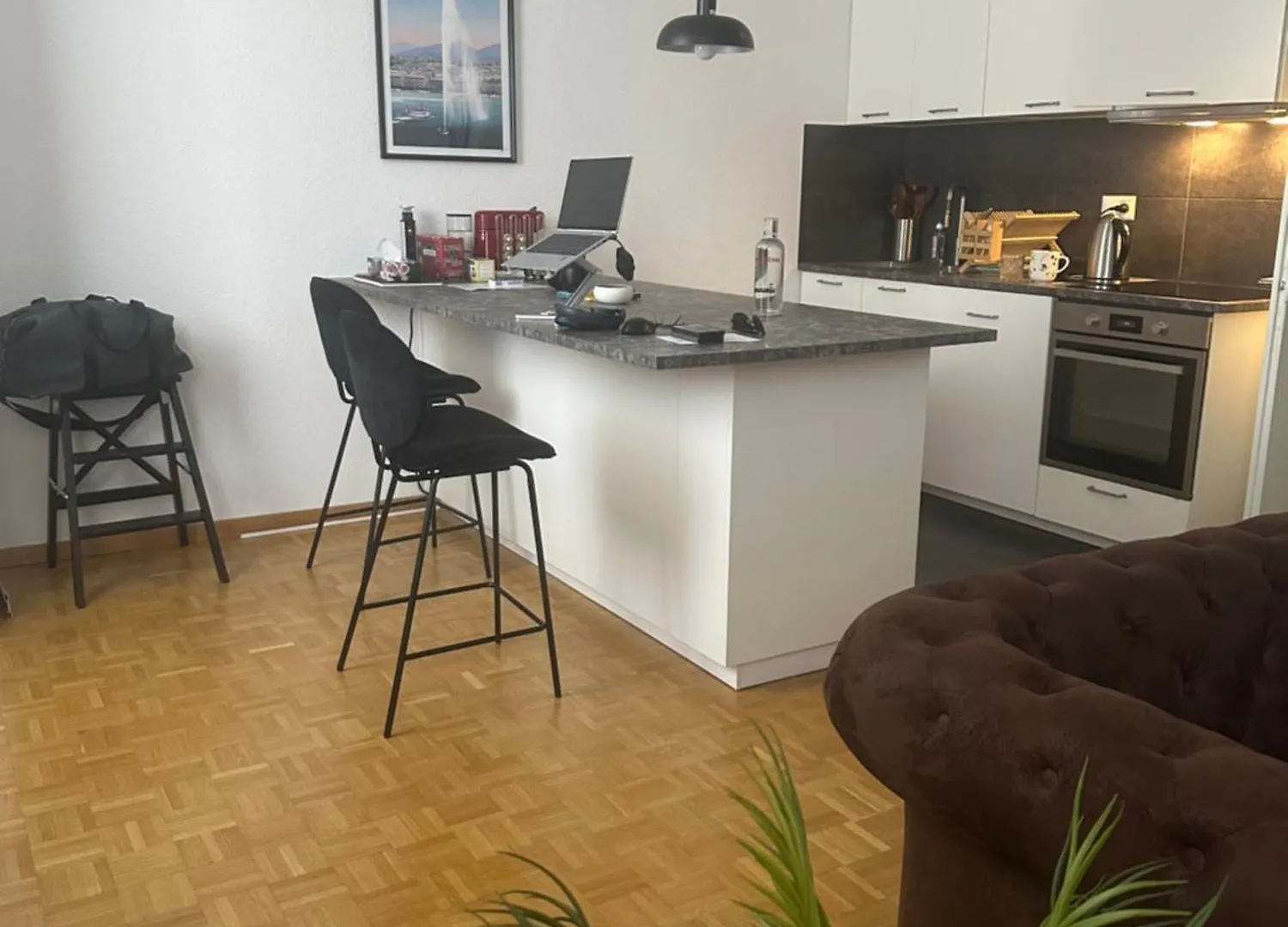 Magnificent Apartment, Geneva Center, Geneva Lake 0*,