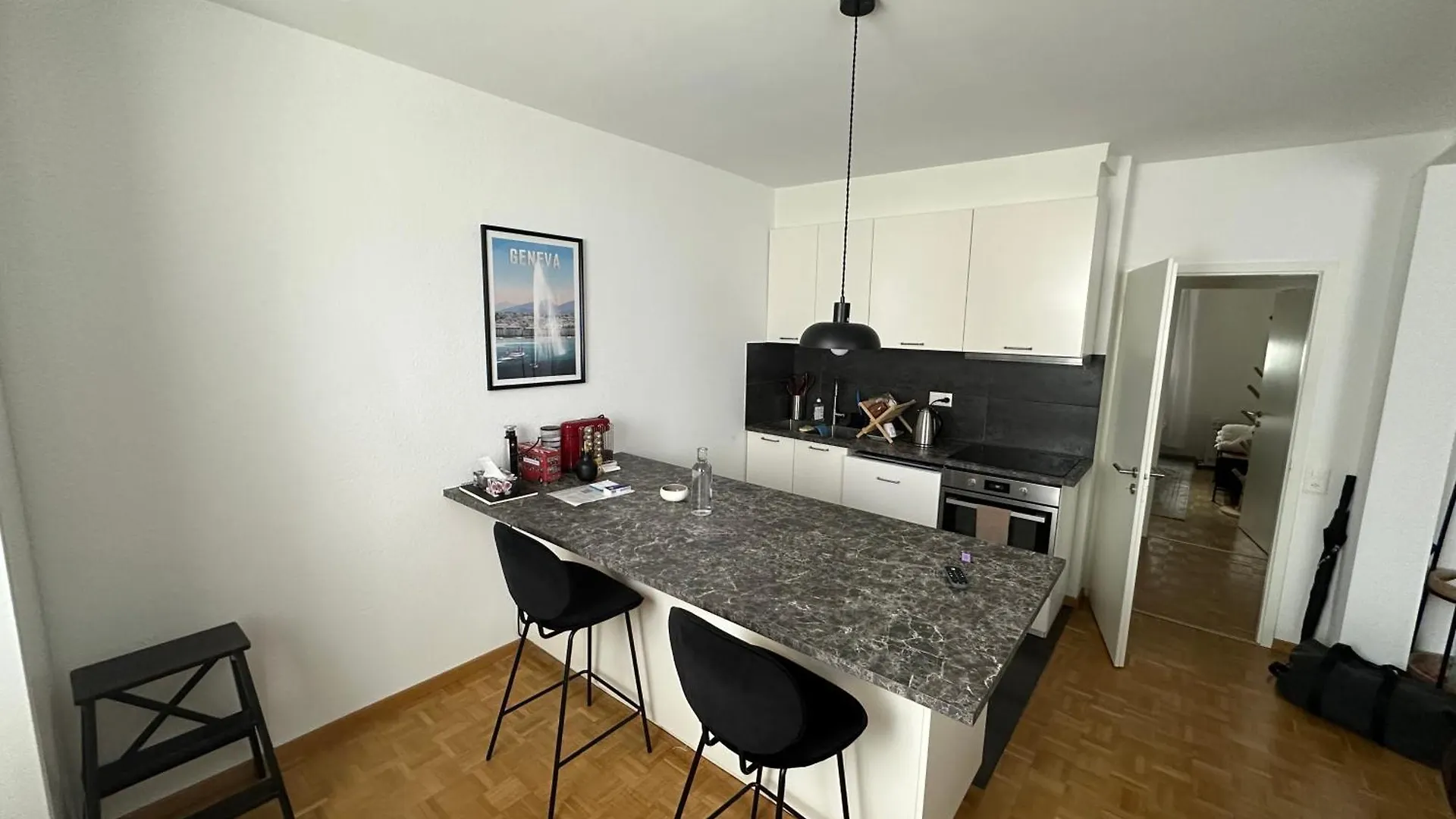Appartement Magnificent Apartment, Geneva Center, Geneva Lake